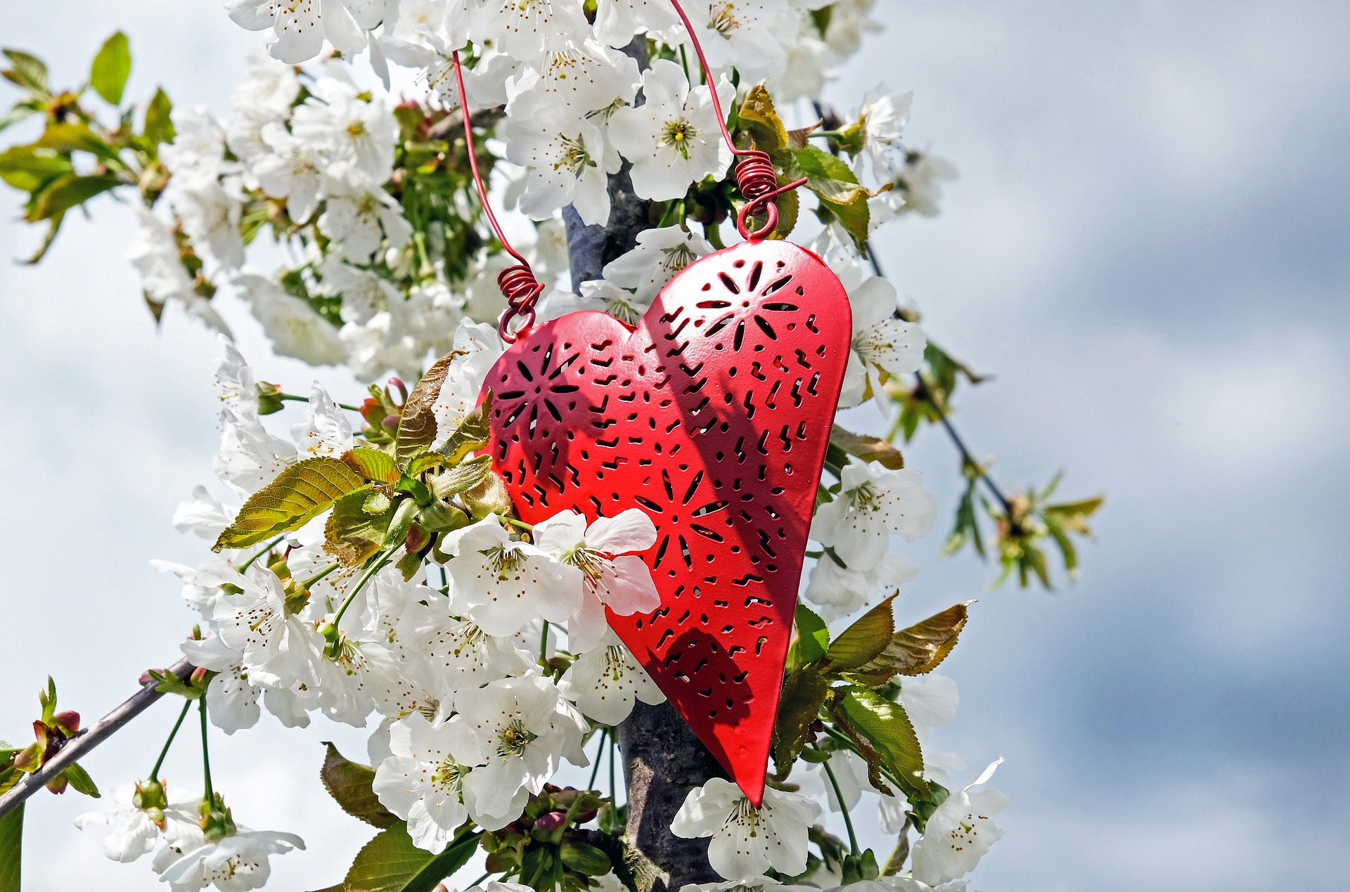 4. Comforting Hues: Flowers For A Grieving Heart
