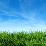 The Universe Always Provides. Trust In Its Power. trust