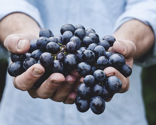 Have You Thought About Eating Organic Foods? Organic Food