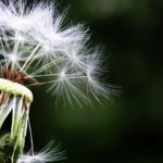 Sensitivity Testing / Treatments – What Are They? Sensitivity Testing