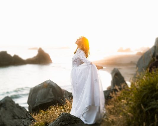 Transforming Wounds Through Pauses – Planting A Seed Transforming Wounds