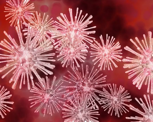 What Are Probiotics? What Are Probiotics