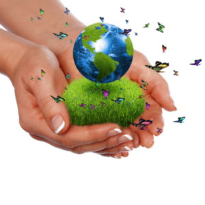 Message From The Whispers In The Winds: A New View For The World
