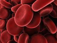 live blood cells