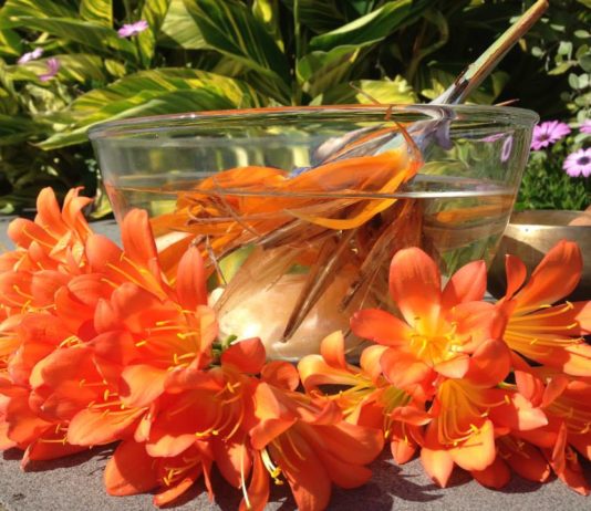 The Making Of GHE’s Sacral Chakra Vibrational Mist Sacral Chakra Vibrational Mist