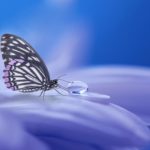 Mindfulness – How Can It Affect Your Life? Mindfulness