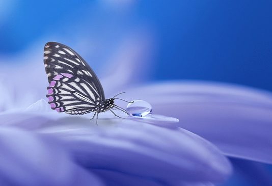 Mindfulness – How Can It Affect Your Life? Mindfulness
