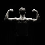 muscles
