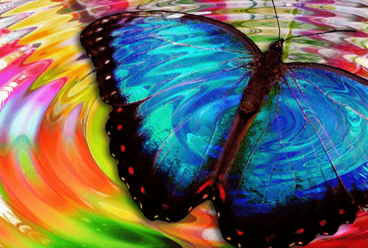 3 Things You Can Do Straight Away To Raise Your Vibrations Now