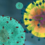 how to improve your immune system