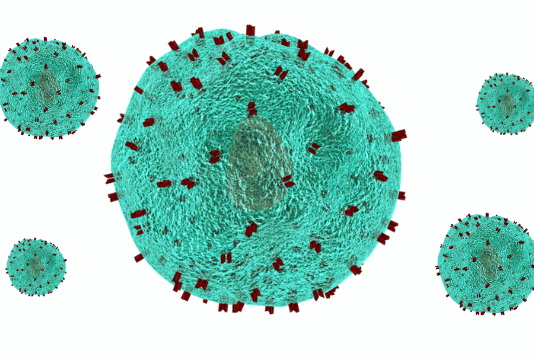 Why Is The Immune System Important For A Healthy Life? Why Is The Immune System Important For A Healthy Life?