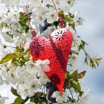 Grieving With An Open Heart