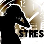 Stress & The Immune System