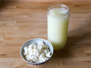 Fermented Foods