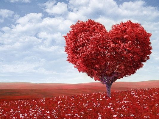 Absolute Love Connected To The Mind & Perception love