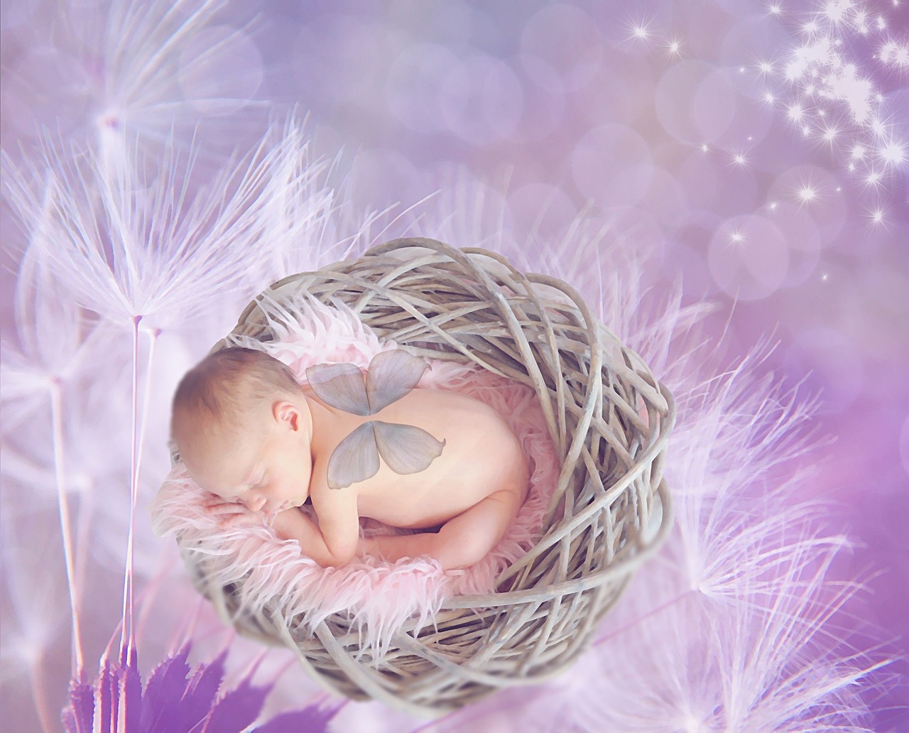 Spirit Babies & The Realms Of Prenatal Consciousness