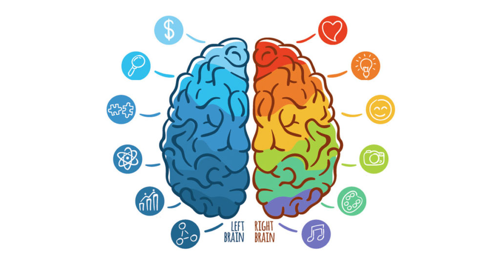 Your Right and Left Brain Hemispheres, is One Dominant?