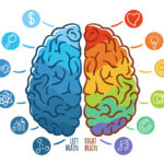 Your Right and Left Brain Hemispheres, is One Dominant?