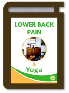 Holistic Solutions for Lower Back Pain with Yoga eBook