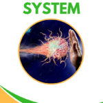 Holistic Solutions for Immune System Problems