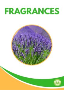 Holistic Solutions for Allergies & Sensitivities - Fragrances