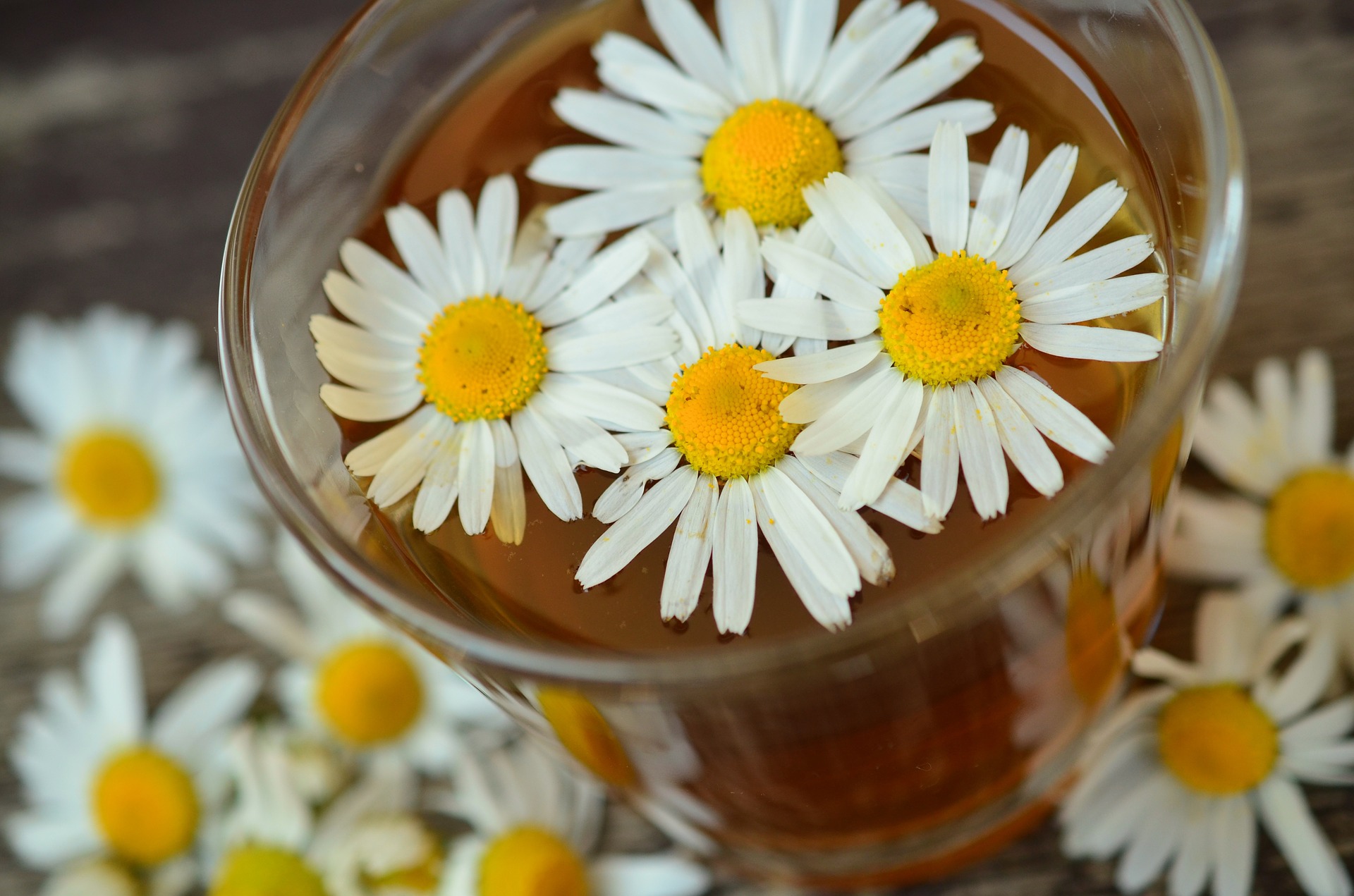 Herbs For Relaxation