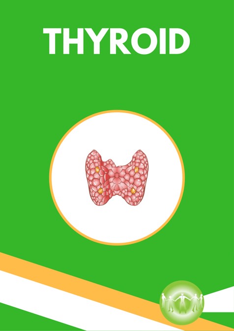 Holistic Info about Thyroid Endocrine Conditions
