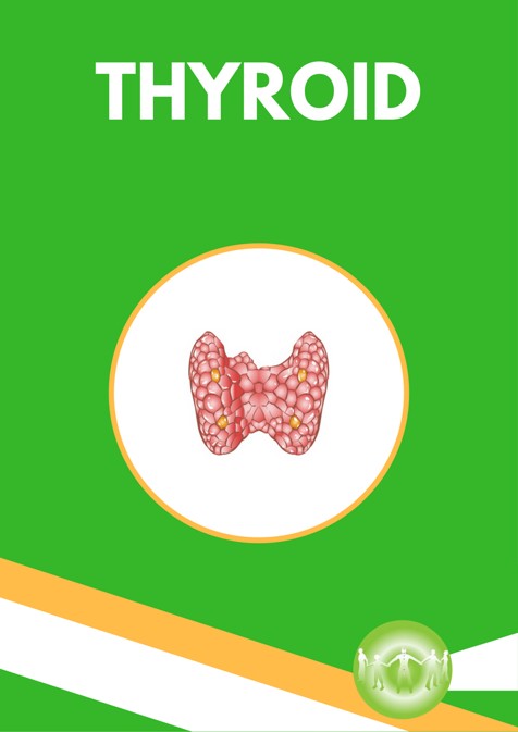 Thyroid - Endocrine Conditions - Holistic Approach To Health By Global