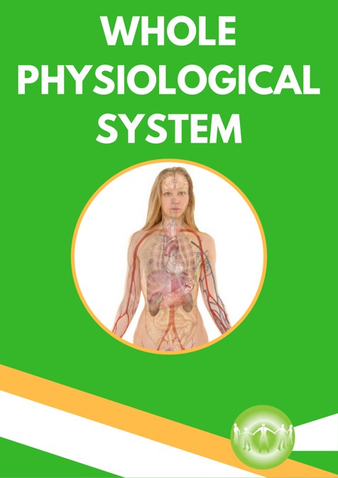 Whole Physiological System Holistic Principles & Strategies
