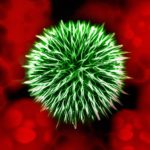 CANCER Are Your Gut Bacteria Putting You At Risk
