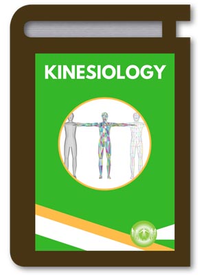 A Brief Overview of Kinesiology