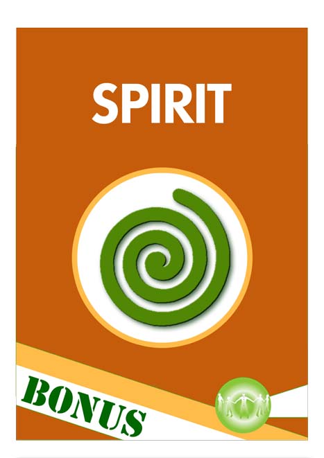 Holistic Spirit Bonuses