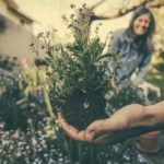 7 Ways To Lead An Eco-Friendly Lifestyle Eco-friendly lifestyle