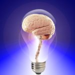 Functionality Of The Brain