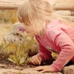 Brain Affected By Scents