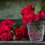 Roses Used As Herbal Medicine
