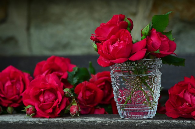 Roses Used As Herbal Medicine