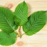 What Is Kratom