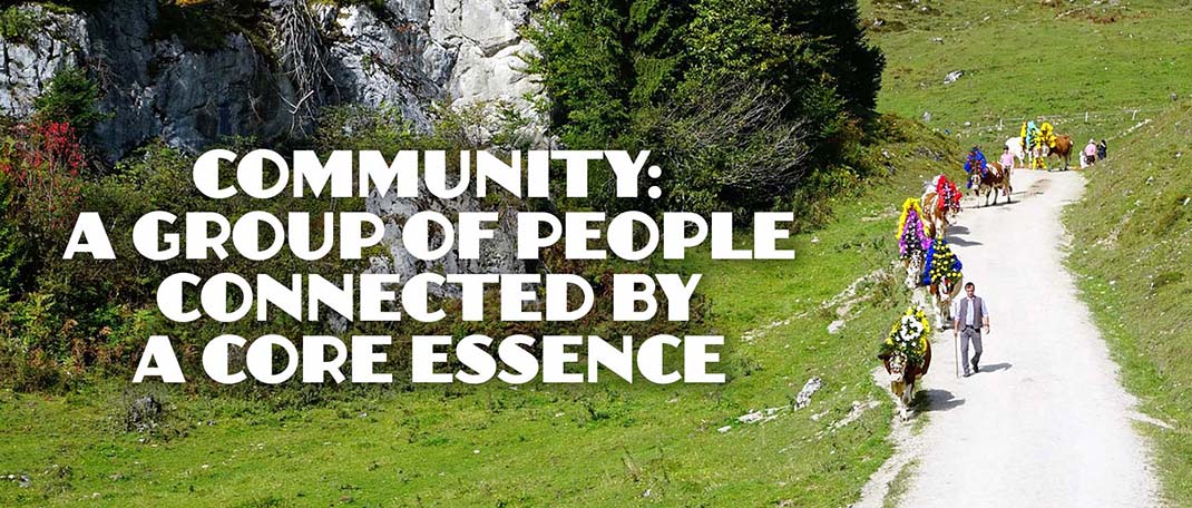 Community A Group Of People Connected By A Core Essence