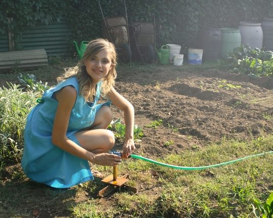 Ways To Make Your Garden More Energy Efficient Make Your Garden More Energy Efficient