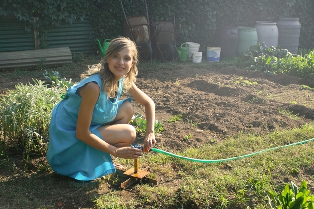 Make Your Garden More Energy Efficient