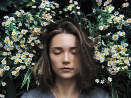 Herbs To Reduce Stress