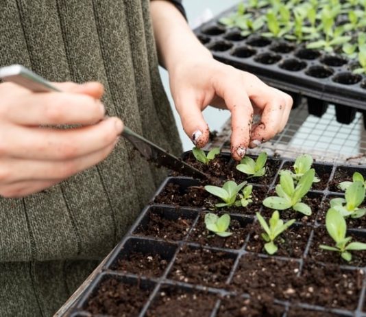 8 Tips To Overcome A Sedentary Lifestyle Overcome A Sedentary Lifestyle