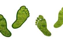 Carbon Footprint