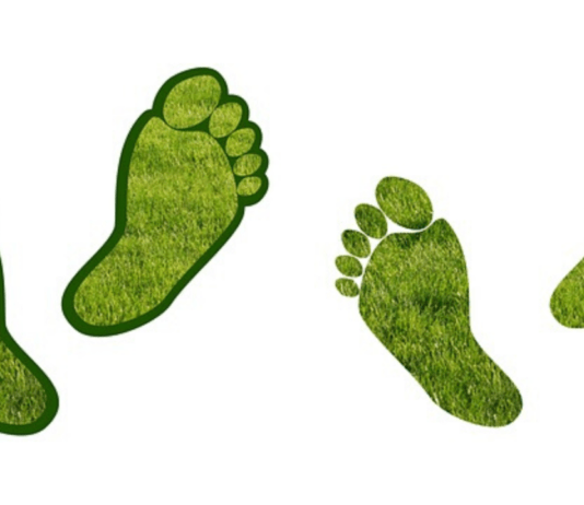 How To Reduce Your Carbon Footprint Carbon Footprint