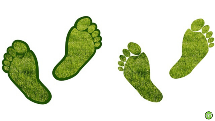 Carbon Footprint