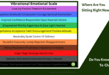 Vibrational Emotional Scale