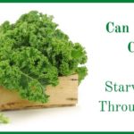 Can-Food-Fight-Cancer_-Starving-Cancer-Through-Nutrition
