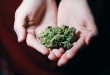 Cannabis Supports Your Health