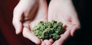 Cannabis Supports Your Health